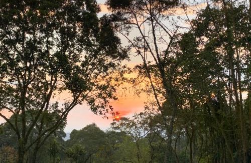 Tena Other | Bosque de Aventura & Glamping El Faro