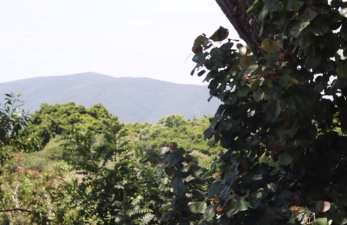Tepoztlan Cabin | Bosque Geométrico