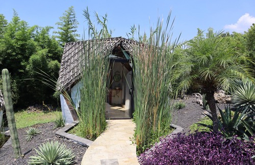 Tepoztlan Cabin | Bosque Geométrico