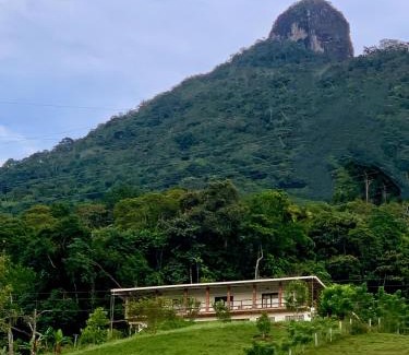 San Carlos House | Bosque Místico