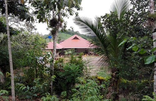 Torata House | Bosquefrut