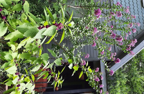 Bastrop House | Botanical Retreat Cottage, 30 Minutes From Austin