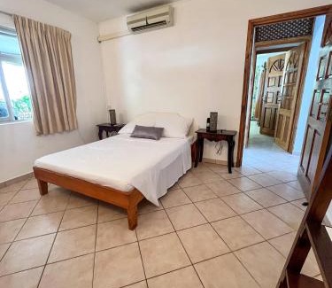 Beau Vallon Villa | Bottle Palm Villa