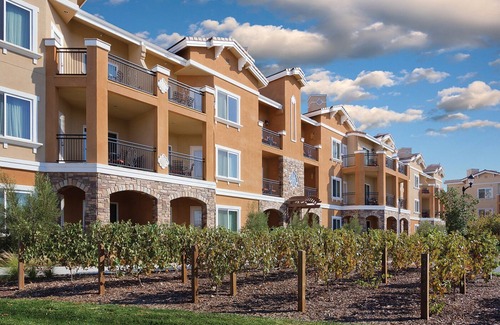 Napa Condo | Bottlerock!