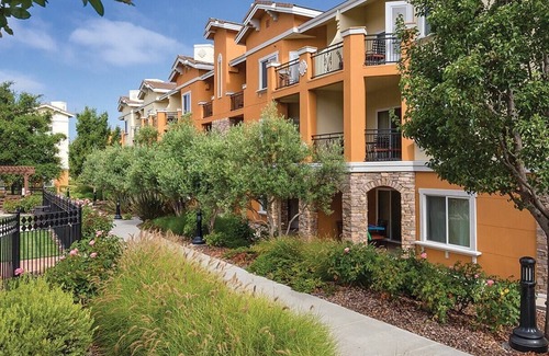 Napa Condo | Bottlerock!