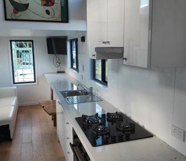 Lower Beechmont House | Bottletree Gardens - Mini Manson Blue