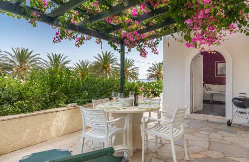 Ayia Fotia Apartment | Bougainvillea House in Crete