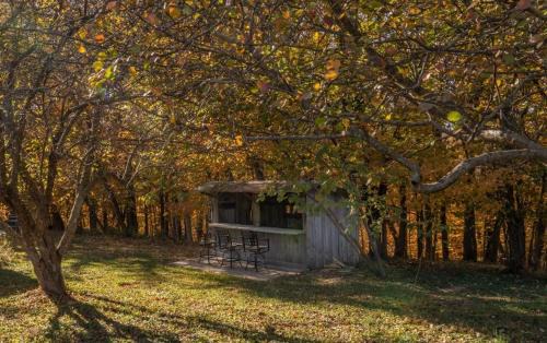 Waddy House | Bourb Inn