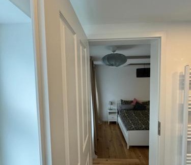 Schloßchemnitz Hotel | Boutique Hotel Pension Luisengrün Küche 1Gbs WLAN Netflix Disney MagentaTV