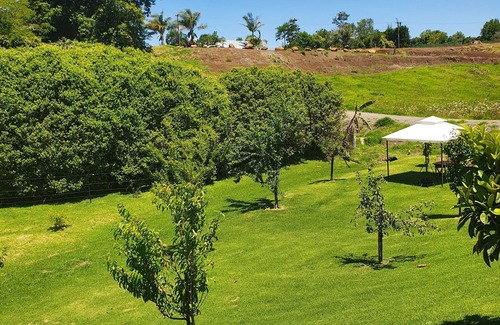 Kerikeri Bed & Breakfast | Boutique Kerikeri Bed & Breakfast (no kitchen) 5 minutes walk to town.