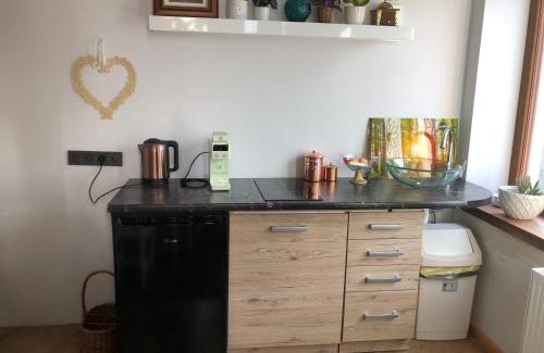 Panevezys Apartment | Boutique Studija Žibutė