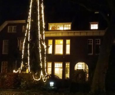 Eindhoven Hotel | Boutiquehotel Sycamore - Protected City View - 950m from Central Station