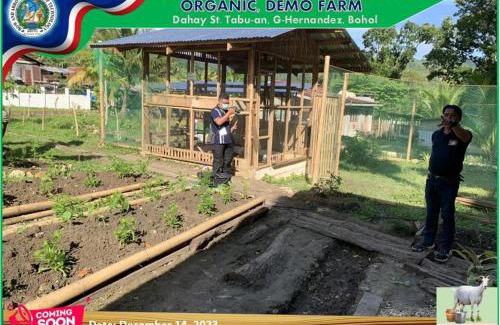 Garcia Hernandez Other | Bow and Arrow Integrated Organic Farm