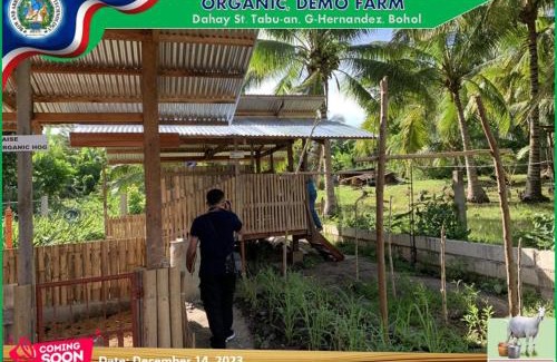 Garcia Hernandez Other | Bow and Arrow Integrated Organic Farm