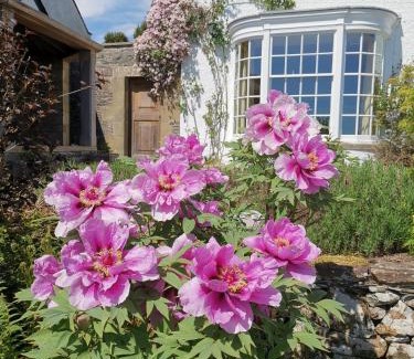 Melrose Bed & Breakfast | Bowden House B&B