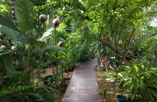 Parque Dez de Novembro House | Casa Amazônica: