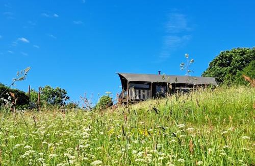 Ivybridge Other | Brackenhill Glamping - Safari Tent with Hot Tub