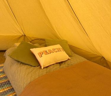 Brading Other | Brambles bell tent