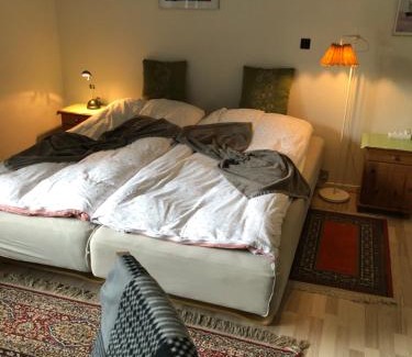 Bramming Bed & Breakfast | Bramming city privat overnatning , ingen morgenmad