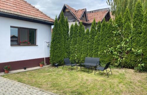 Tohanu Nou House | Bran-Tohan