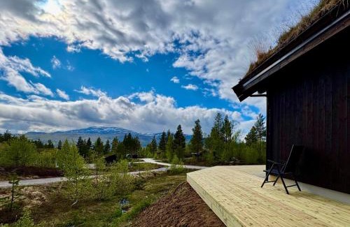 Bykle House | Brand new cabin at Hovden cross-country skiing