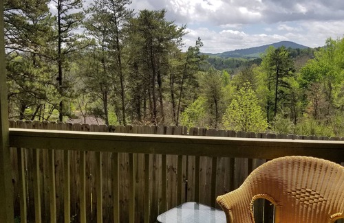 Alexander House | Brand new refresh! Comfy & fabulous views! Near Asheville and Weaverville.