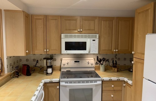 Mont-Tremblant Condo | Breathtaking lake and mountain view 2 bdrm condo