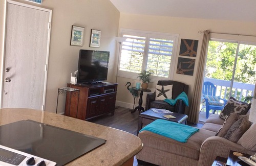 Dana Point Condo | Breathtaking views & a minute stroll to monarch beach, restaurants,and shops.