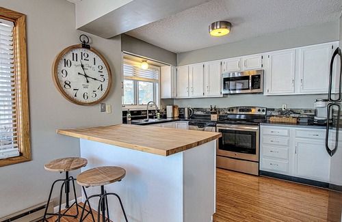 Bemidji Condo | Breezy Hills -Lake Bemidji, King bd, Kayaks, PB Trail!