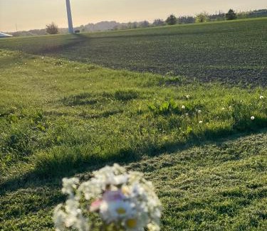 Aabenraa House | Bremsmaj Farm Holiday