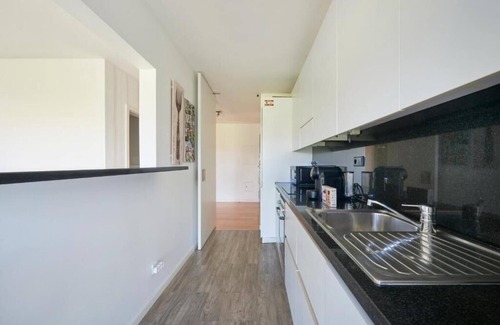 Parque das Nacoes Apartment | Bridge River Apartment
