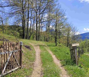 Montenegro House | Bridge View Tara -House Lekovic