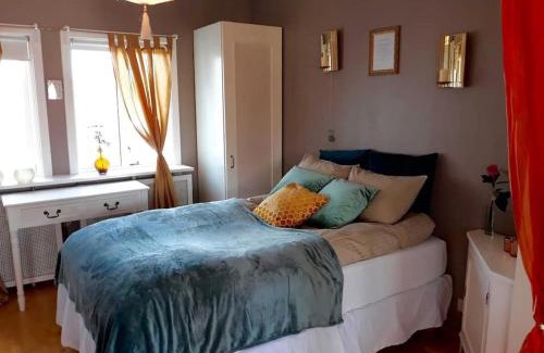 Downtown Apartment | Bright and beautiful studio apt for 2 in RVKcenter