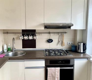 Siauliai City Center Apartment | Bright and cozy apartment in the city center with balcony