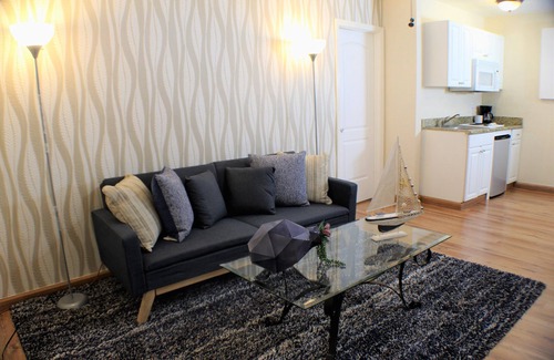 Town N County Park Apartment | ★Bright and stylish! Hidden Gem of Tampa Bay★