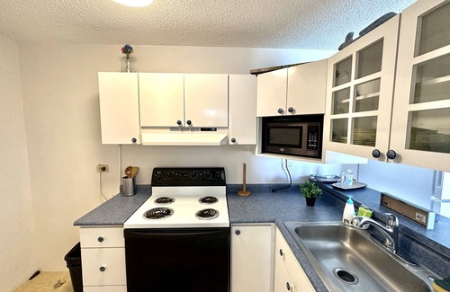 La Pared Apartment | Bright Ocean View Turtle Nest Apartment