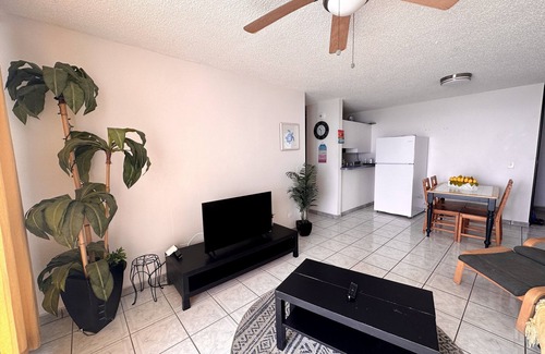 La Pared Apartment | Bright Ocean View Turtle Nest Apartment