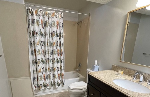 Layton Apartment | Bright, Quiet Neighborhood Basement Apartment