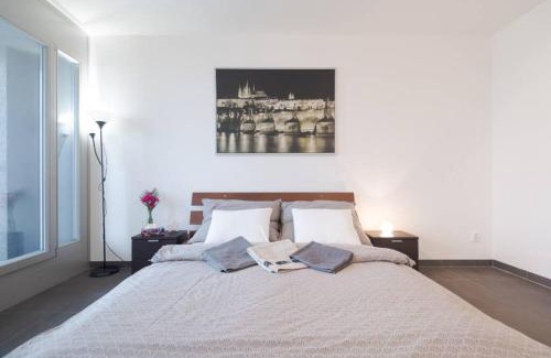 Zizkov Apartment | Bright studio, 10min to the Centre, free Parking