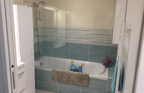 Barcelonnette House | Bright T4 7 mins walk from downtown and 10 mins from Pra-Loup