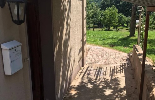 Schwalmstadt Apartment | Bright vacation apartment in the basement with covered terrace