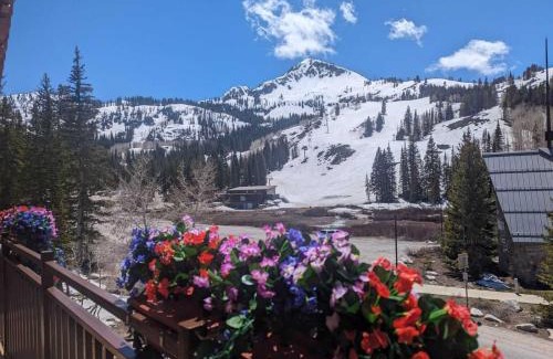 Salt Lake Mountain Resorts House | Brighton Ski Resort Hidden Falls 1 Bedroom Chalet Utah