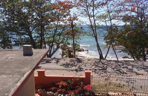 Barrero Apartment | Brisas Del Mar 1/1 Front Beach Apartment
