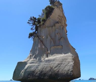 Whitianga Bed & Breakfast | Brophys Beach Studio