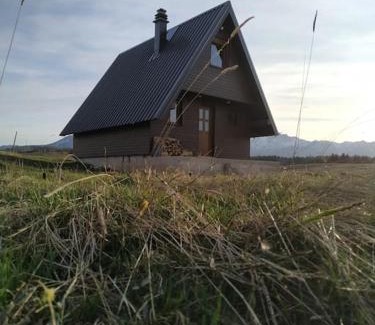 Zabljak Ski Chalet | Brown cabin