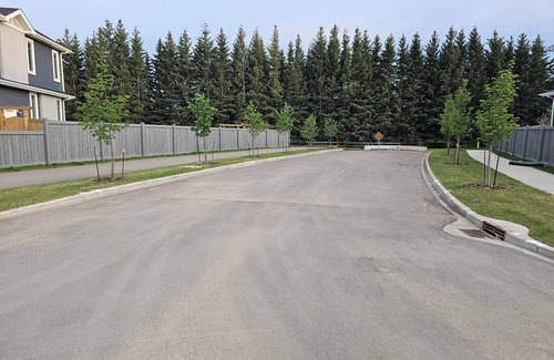 Southwest Edmonton House | Brown's Family Home