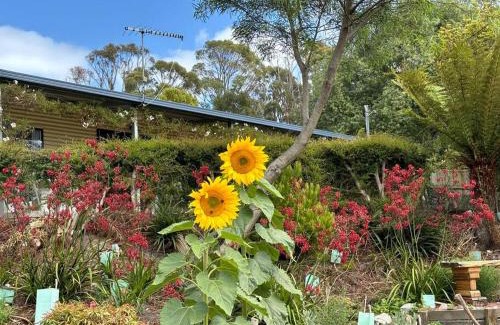 Adventure Bay House | Bruny Serenade
