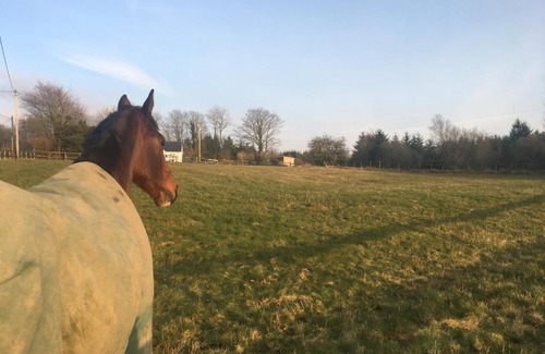 Devils Bridge Other | Brynllwyd Glamping