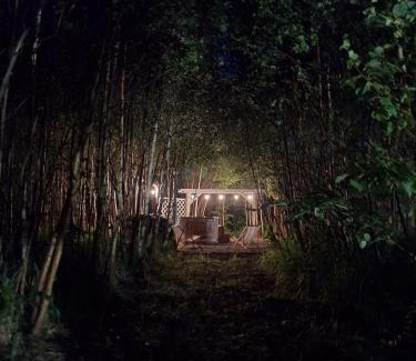Gniewino House | Brzozowa Polana