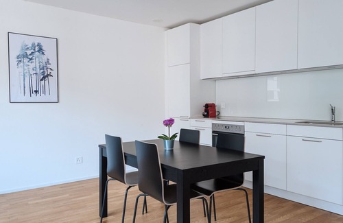 Basel City Centre Apartment | BS Squirrel I - Messe HITrental Apartment